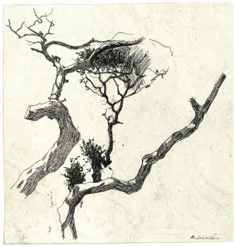 Visualizza l'immagine "FD D 2761"